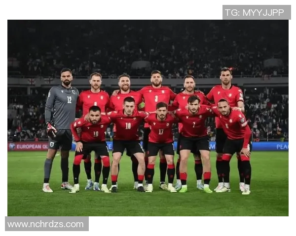 2014年欧洲杯赛程及精彩赛事回顾与分析